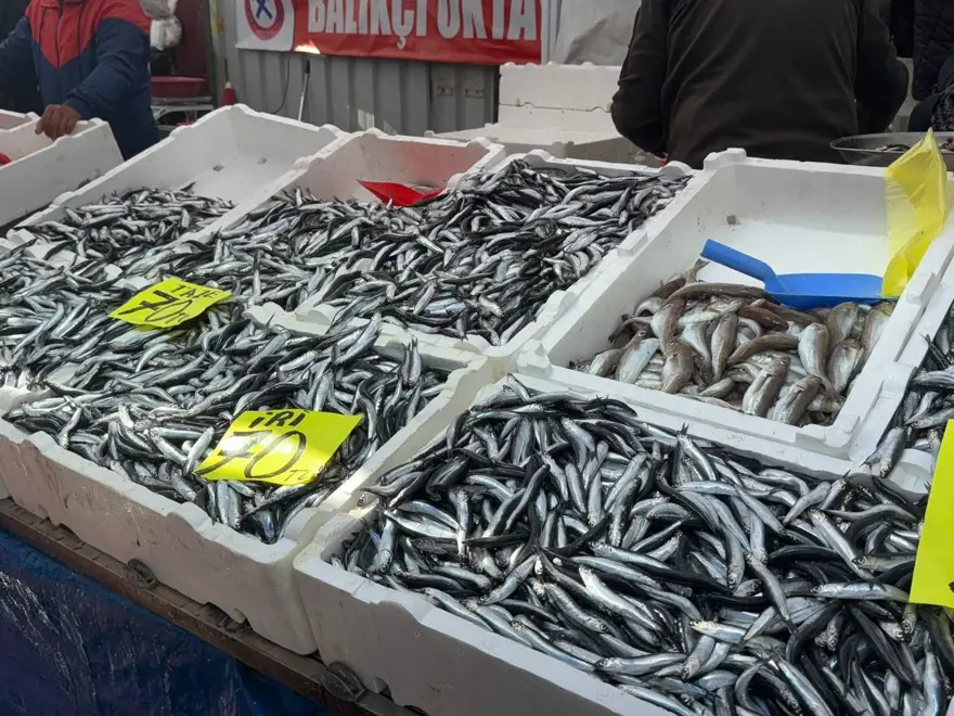 Kilosu 70 liraya kadar düştü, tezgahlar şenlendi: Dün de bol, bugün de daha bol 1