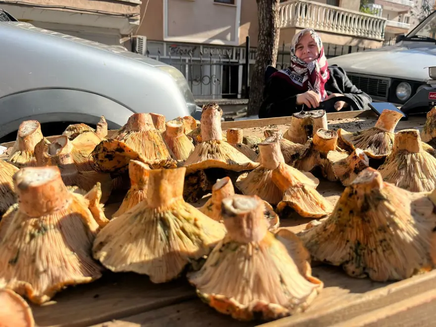 Bir yörenin gözdesi, tezgahta gören akın etti: Fiyatında düşüş bekleniyor 1