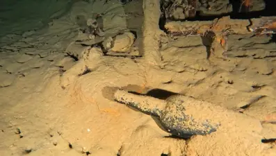 Gelibolu Su Altı Parkı'nda 110 yıllık şarap şişesi bulundu