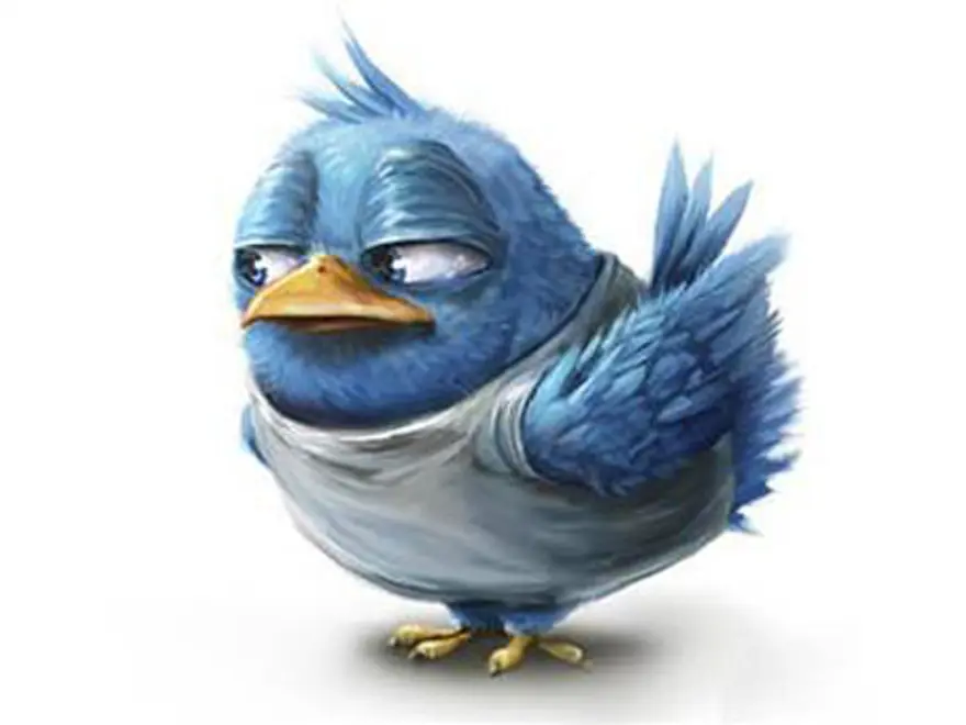 Twitter'ın Türkiye istatistikleri 20