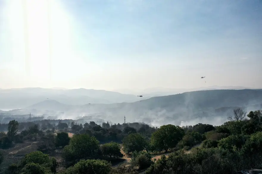 Çanakkale'de orman yangını kontrol altında 75