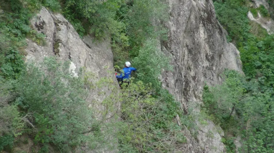 &quot;Yılan otu&quot; olarak da biliniyor, ölüme meydan okuyup topluyorlar: Hastalıkların şifası bitki 4