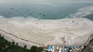 Müsilaj balıklarda zehir etkisi yaratır mı? Uzmanı yanıtladı Müsilaj balıklarda zehir etkisi yaratır mı? Uzmanı yanıtladı