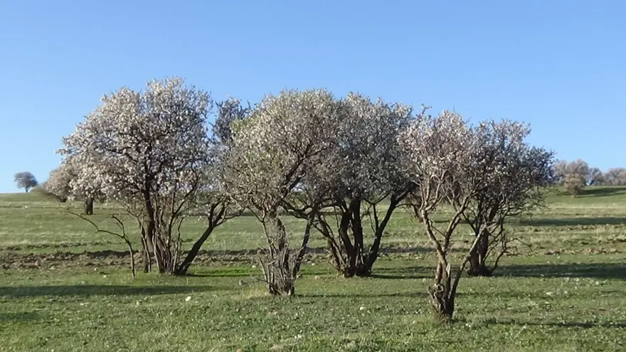 Doğaseverlerin yeni rotası Çarpanak yarımadası 3