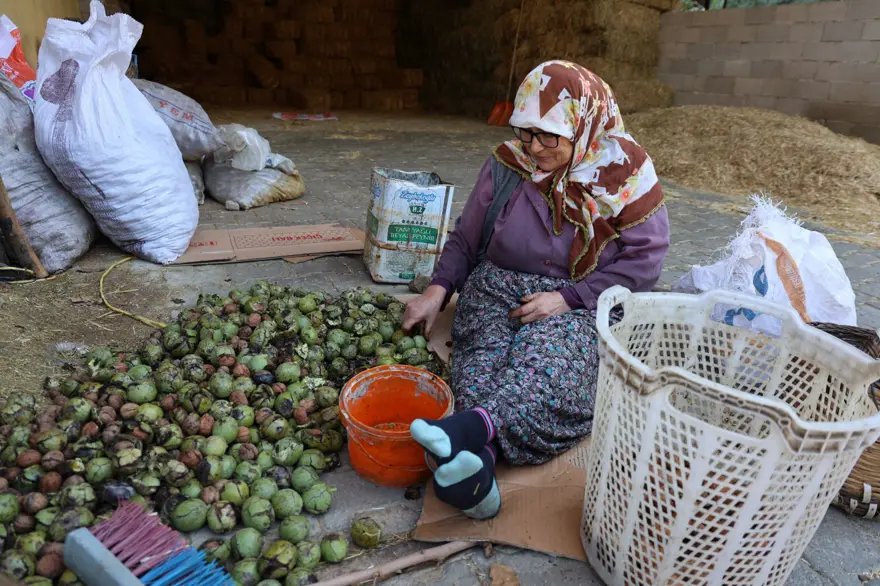 74 yaşındaki Dursun nine şeker hastalığını böyle yendi: Doktoru tavsiye etmiş 3