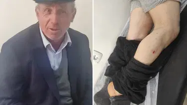 Sivas’ta çiftçiyi ayının elinden inekleri kurtardı