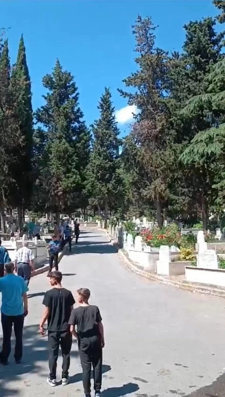 İstanbul’da boğa mezarlığa daldı: 2 yaralı 3