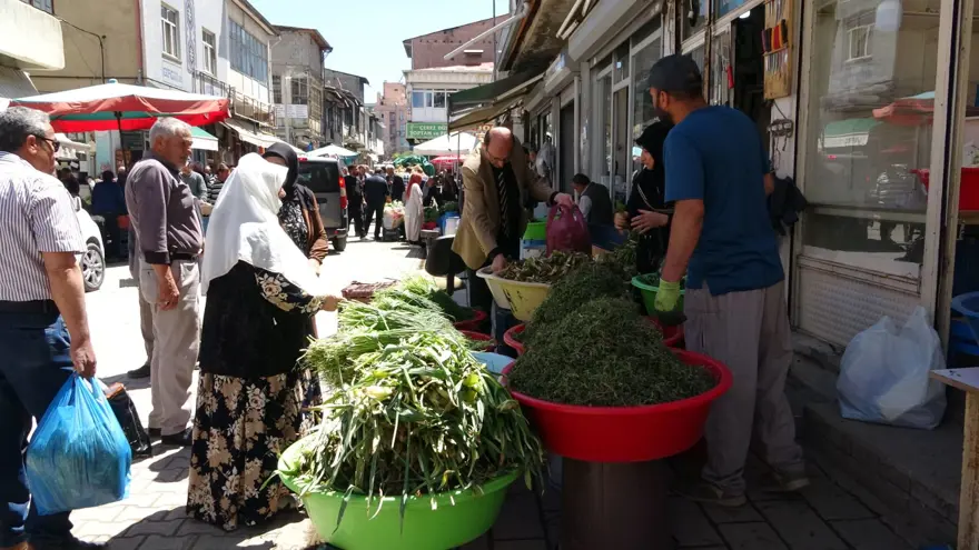 Dağlardan toplanıyor, tezgahta satılıyor: Hem geçim hem de şifa kaynağı 5