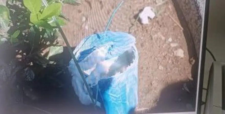 Firari PKK'lıdan boşanma aşamasında eşine bombalı gözdağı 