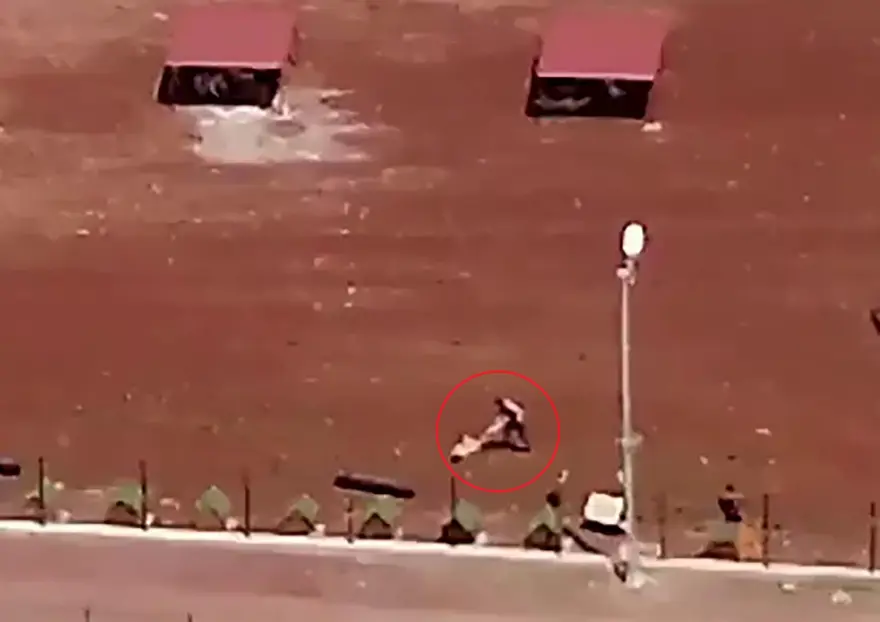 Şiddet kameralarda: Barınaktaki köpekleri kürekle dövdü! 1