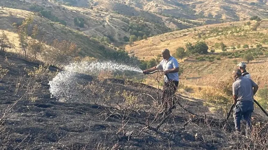 Üzüm bağını küle çeviren yangın 