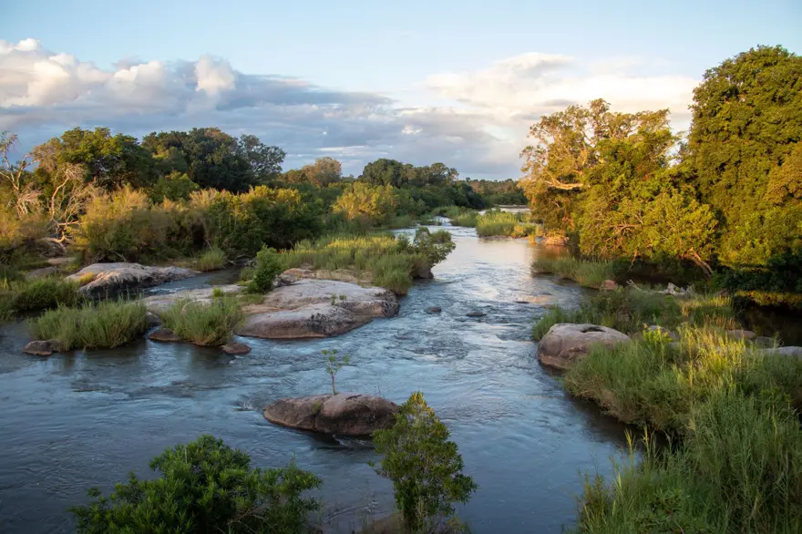 Kruger Ulusal Parkı 'Afrika'nın 5 büyükleri'ne ev sahipliği yapıyor 