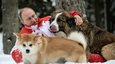 Putin Japonların hediyesi köpeği reddetti