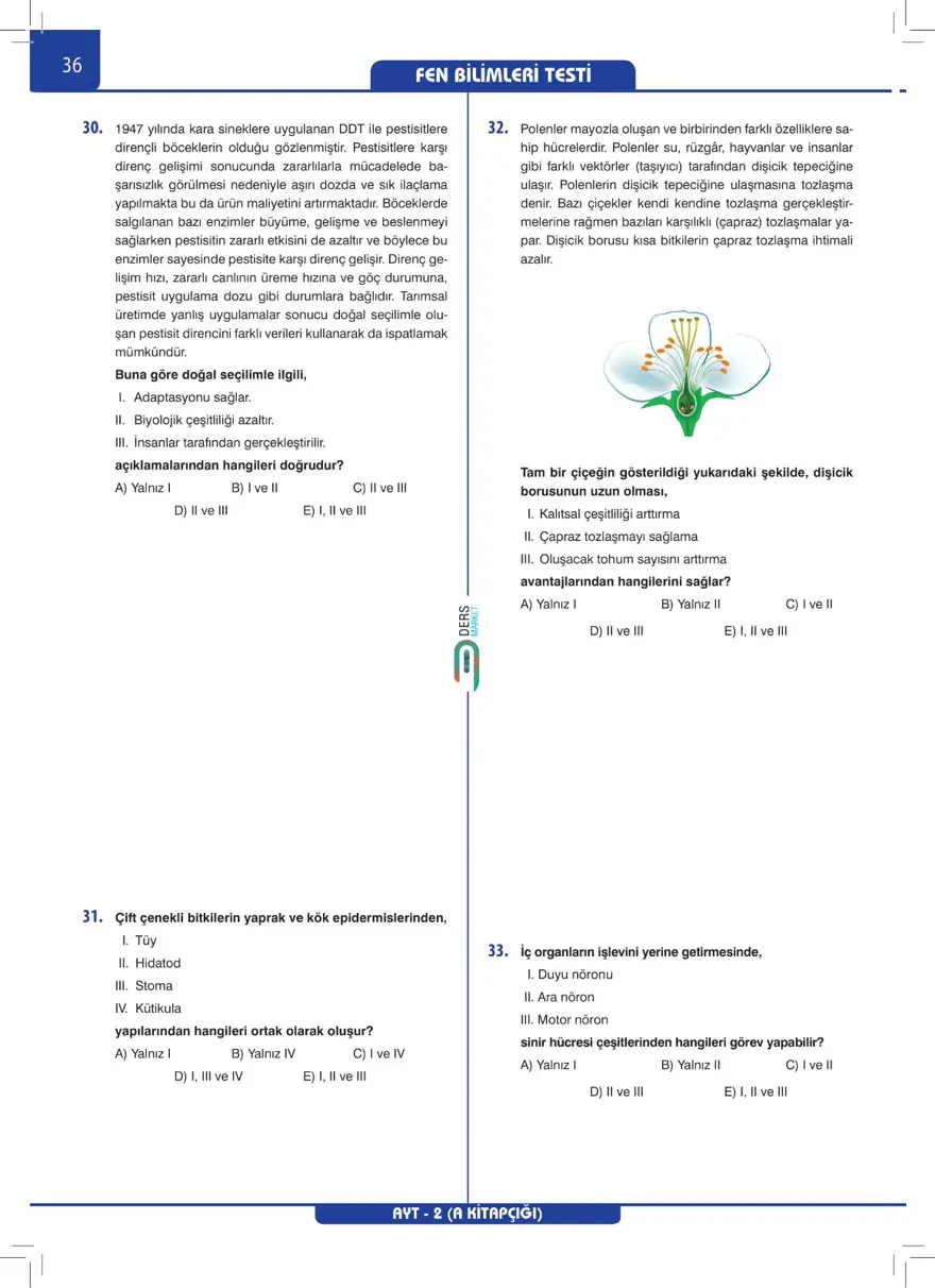 AYT Deneme Sınavı 34