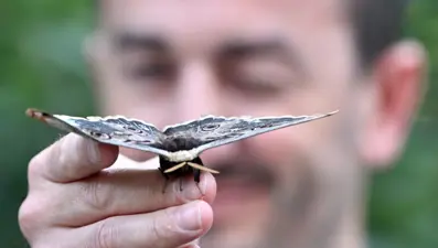 Düzce'de bulundu: Renk ve desenleriyle ilgi çekiyor