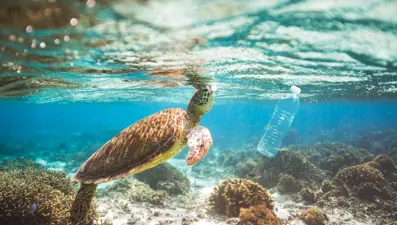 Okyanuslar için 2030 tahmini: 602 bin ton atık!