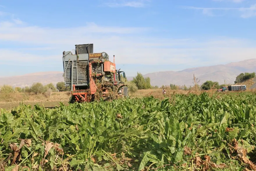 Hasat tüm hızıyla sürüyor: 1 milyar TL boyutunda ekonomik döngü ortaya koyuyor 3