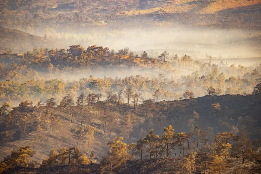 Cumhurbaşkanı Erdoğan: Marmaris'teki orman yangını büyük oranda kontrol altında 66