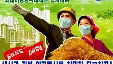 Kuzey Kore'de salgına karşı askeri afiş