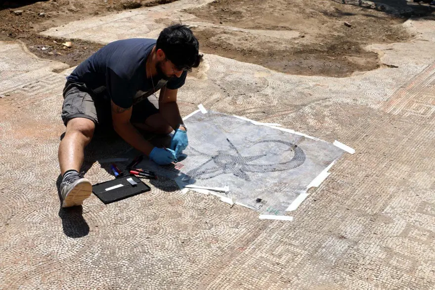 Kaçak kazıda bulunan mozaikler Zeugma Müzesi'ne taşınıyor 12 Kaçak kazıda bulunan mozaikler Zeugma Müzesi'ne taşınıyor 12