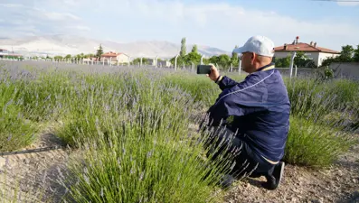 Kullanılmayan arazi, lavanta bahçesine dönüştürüldü: Ekonomiye katkı sağlıyor