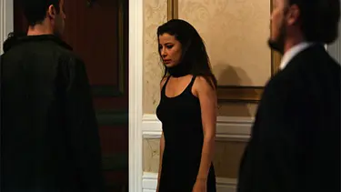 Kedi hayatının en riskli kararını vermek zorunda