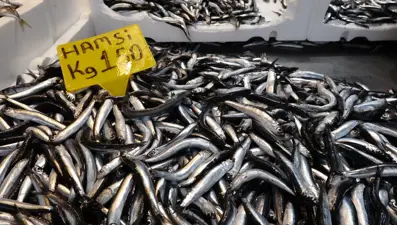 Tezgahın gözdesi hamsi