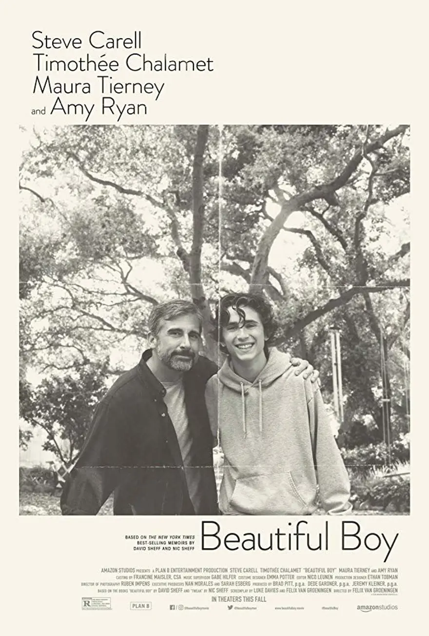 En popüler yabancı filmler (IMDb Şubat 2019 verileri) 6