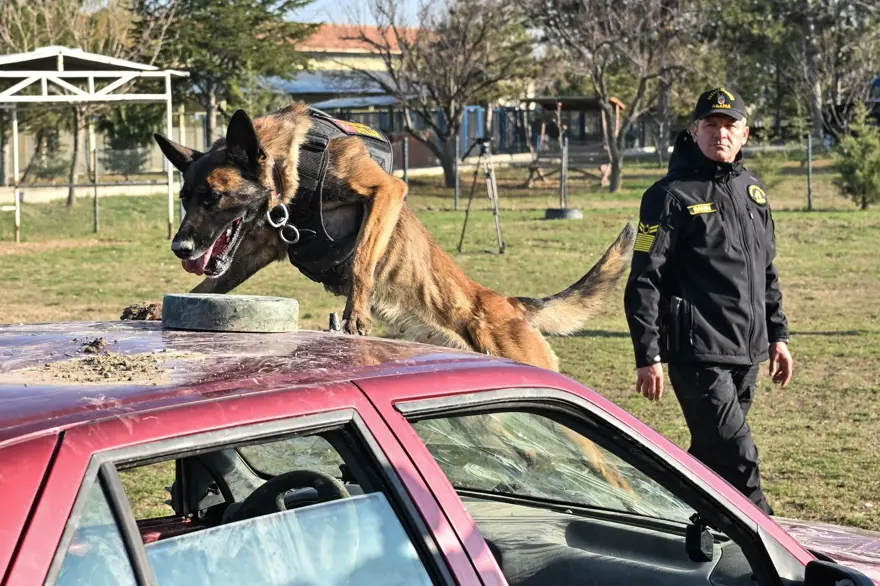 TürkHava Kuvvetleri’nin hassas burunları 3 TürkHava Kuvvetleri’nin hassas burunları 3