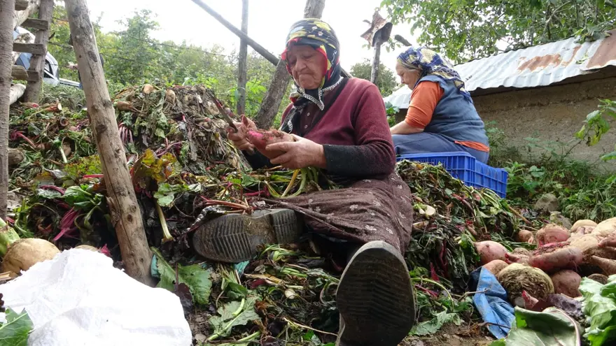 Gelenek devam ediyor: Yazın bolluğunu kışa taşıyorlar 1