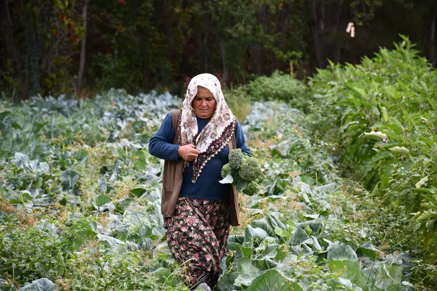 10 dönüm arazide tek başına 14 çeşit yetiştiriyor: İlçede siparişlere yetişemiyor 5