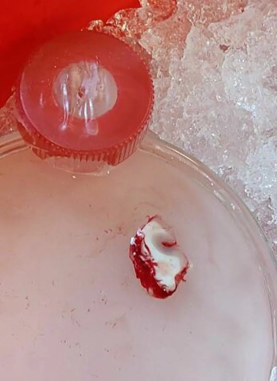 Çığır açan çalışma: İnsan beyninden alınan bir parça ilk kez dışarıda 12 saat boyunca canlı tutuldu 