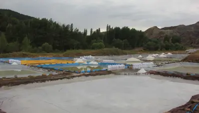 Sivas'ın esmer tuzu Japonya'nın gözdesi: 50 ton ihraç ediliyor