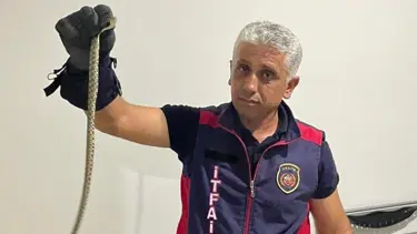 İtfaiyeden yılan operasyonu
