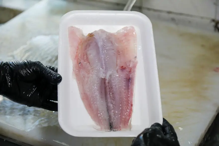 Mezgitin kilosu 750 lirayı buldu: Yarı fiyatına "zehir" uyarısı 2