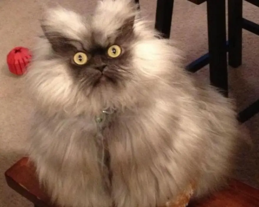 Bugün onların günü! 5