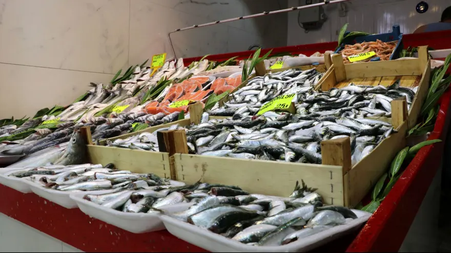 Saros'ta kalamar avı bollaştı, fiyatı 60 liraya düştü 