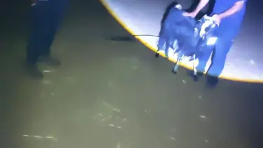 Kuyuya düşen keçiyi itfaiye ekipleri kurtardı