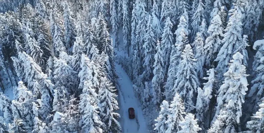 Artvin'deki Genya Dağı'nda kış manzaraları büyüledi 3