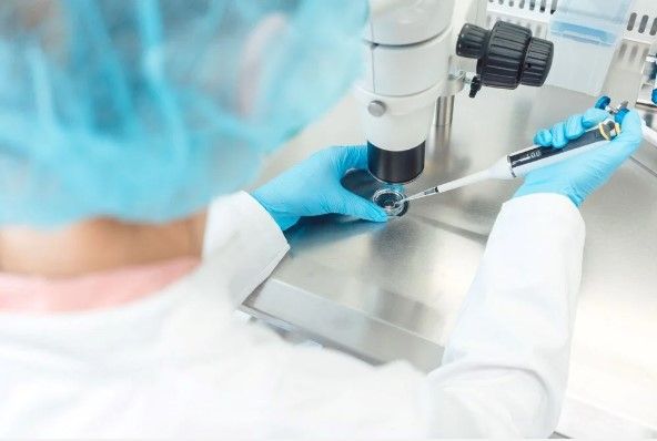 Kök hücreden sentetik insan embriyosu üretildi