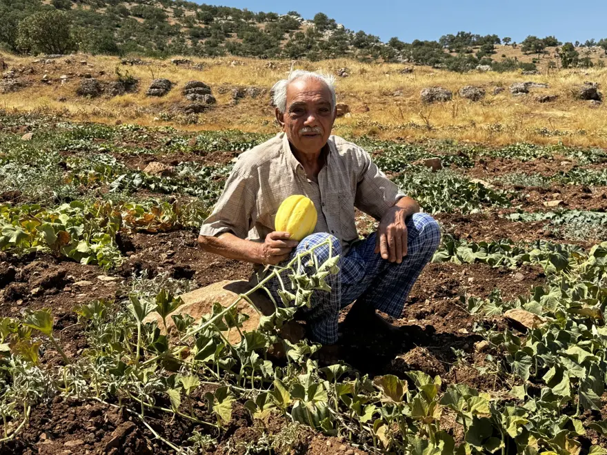 Terörden ve kan davasından 47 önce göçmüşlerdi: Kesin dönüşler başladı 7