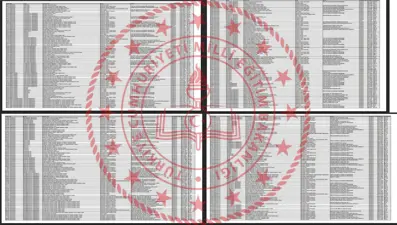 2025 Lise taban puanları ve başarılı sıralamaları belli oldu mu? LGS 300, 320, 340, 360, 380, 400, 420, 440, 460 puanla nereye, hangi liseye girilir?