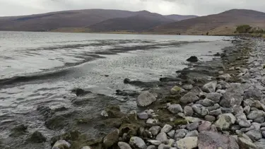 Çıldır Gölü’nde alg patlaması