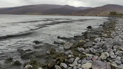 Çıldır Gölü’nde alg patlaması