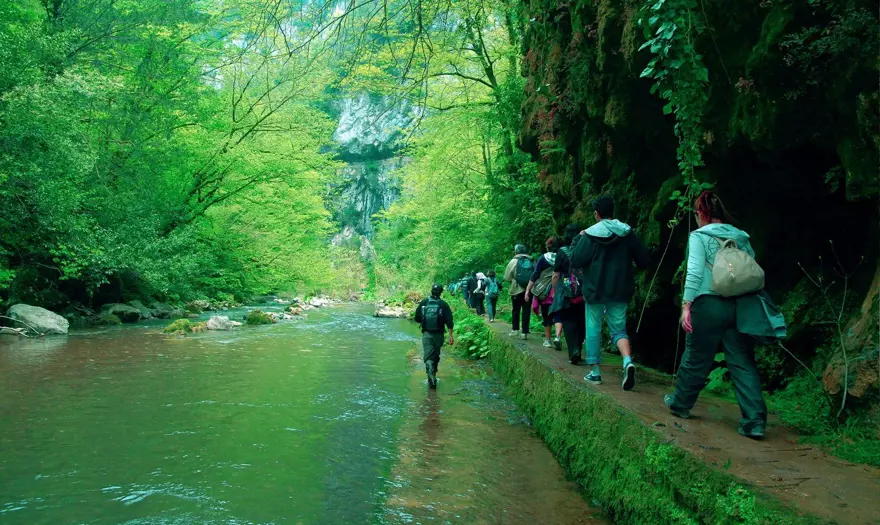 Sakarya’da korkutan manzara: Doğaseverlerin gözdesi kurudu 1