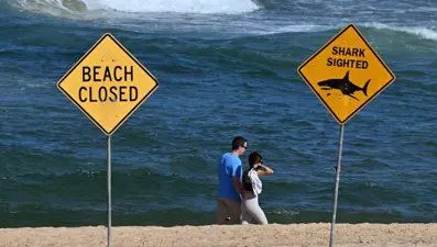 Avustralya'da ölümcül köpek balığı saldırısı: Sahiller kapatıldı