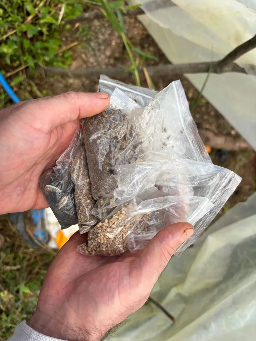 Balkonunda hobi olarak başlamıştı, ülkenin umudu oldu: "Alın yiyin çekirdeklerini bana getirin diyorum" 2