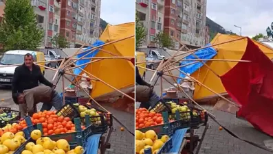 Artvin'i fırtına vurdu