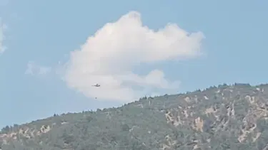 Aydın’da otomobilde çıkan yangın ormana sıçradı