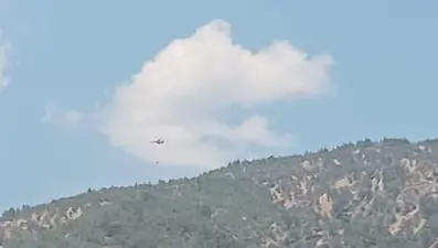 Aydın’da otomobilde çıkan yangın ormana sıçradı